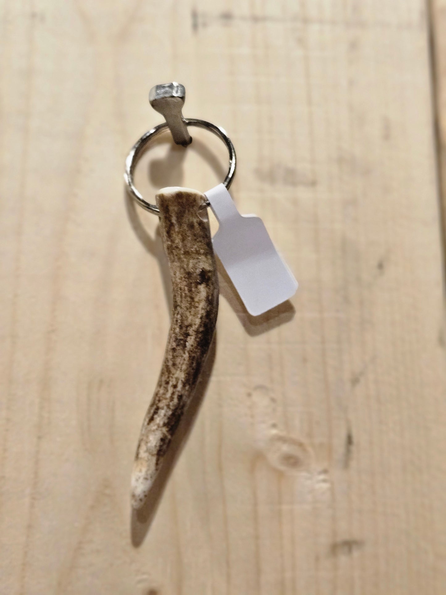 Tine key chain