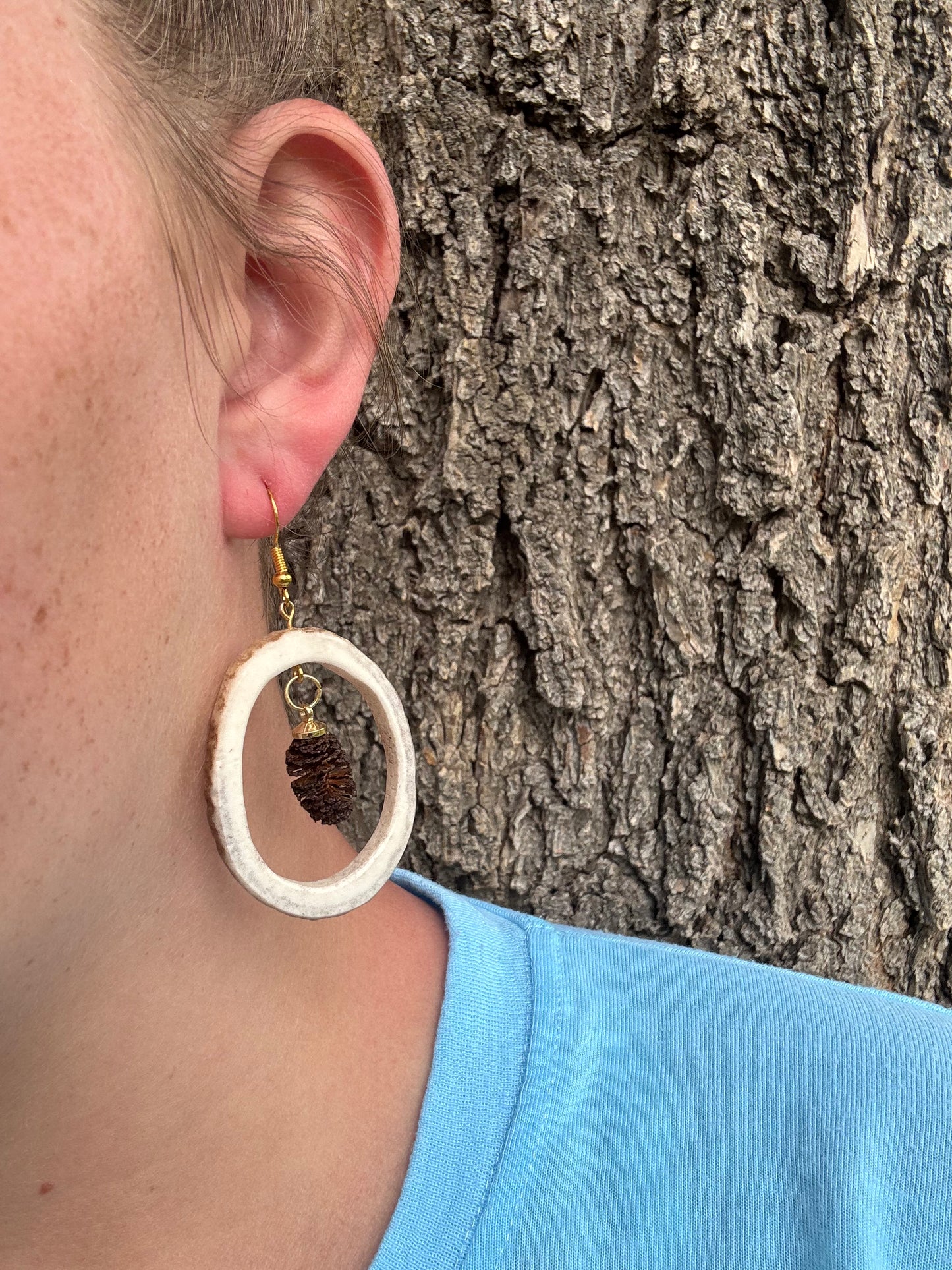 Pinecone accent