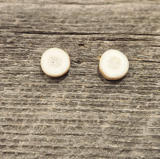 Antler Slice Stud