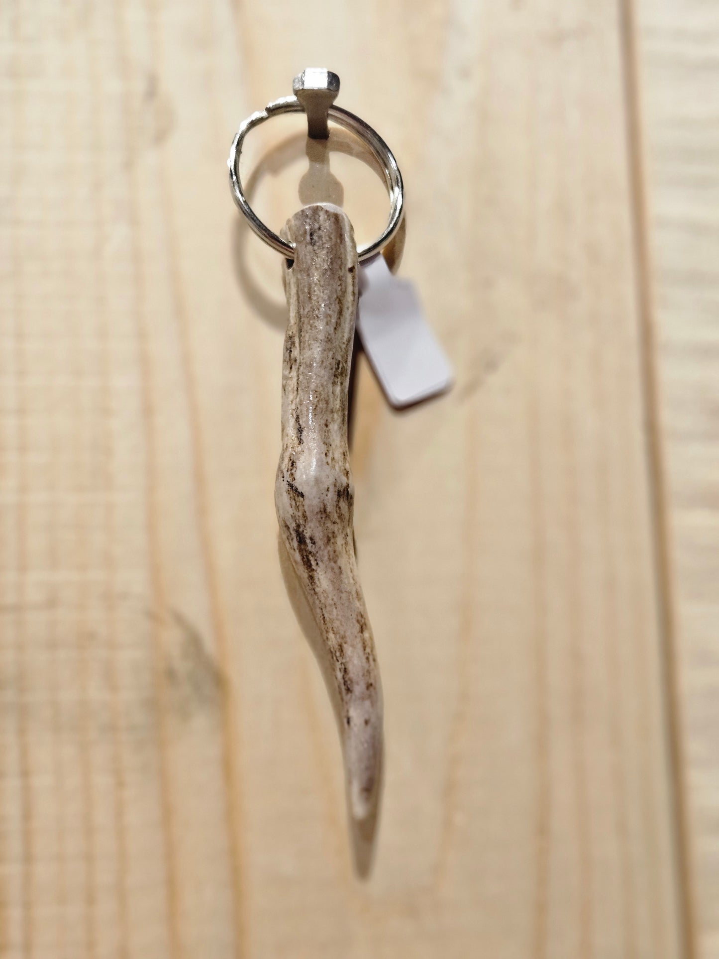Tine key chain