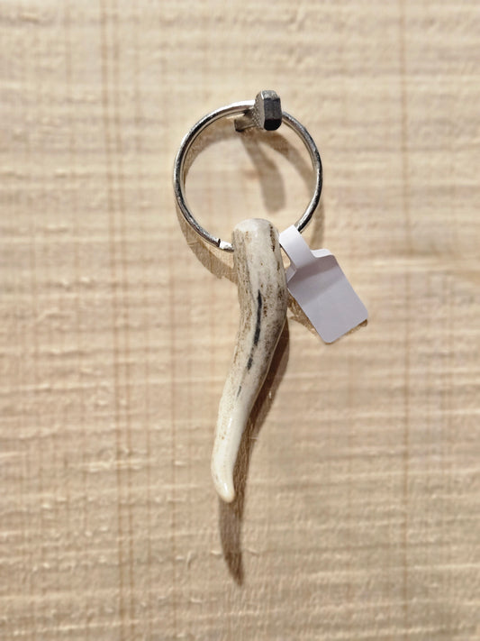 Tine key chain
